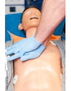 FANTOMY BLS