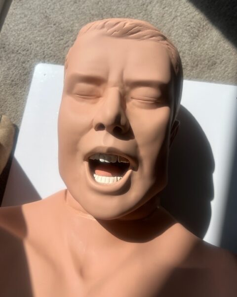 Tors / popiersie do intubacji SIMULAIDS