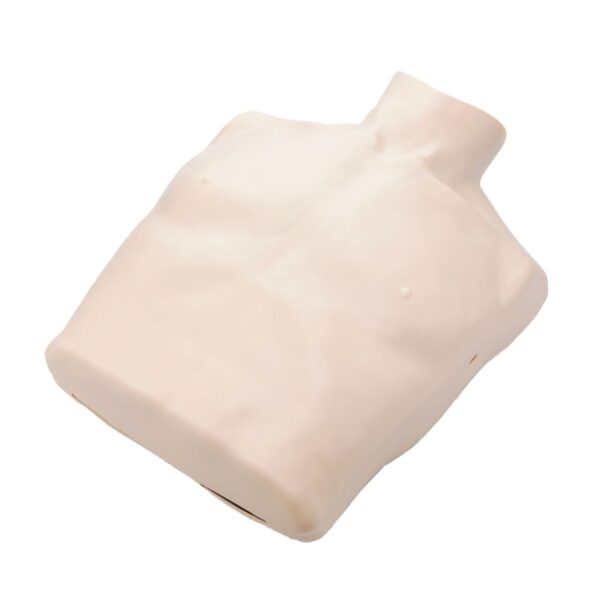 Skóra klatki piersiowej Brayden