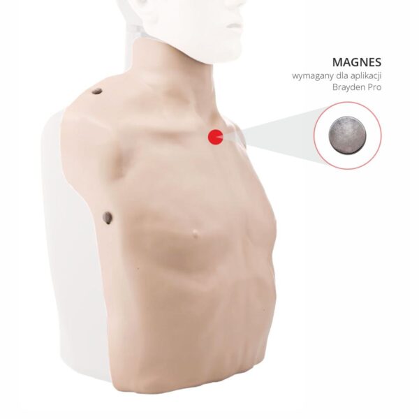 Skóra klatki piersiowej Brayden PRO