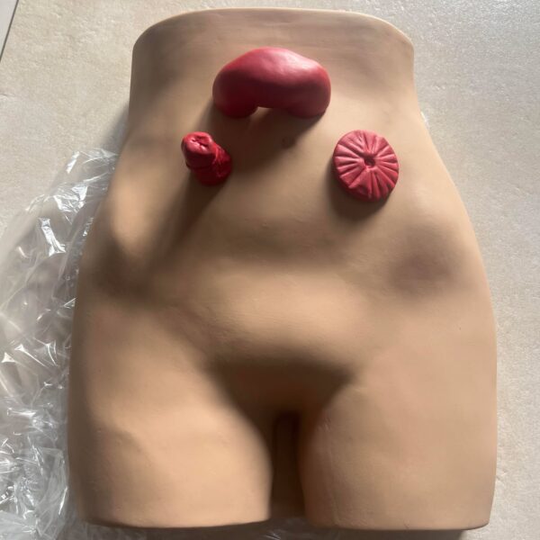 Trenażer do nauki pielęgnacji stomii